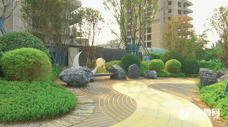 山石、绿植相映成趣！潍坊“景观大道”再添高品质“绿色微空间”(图1)