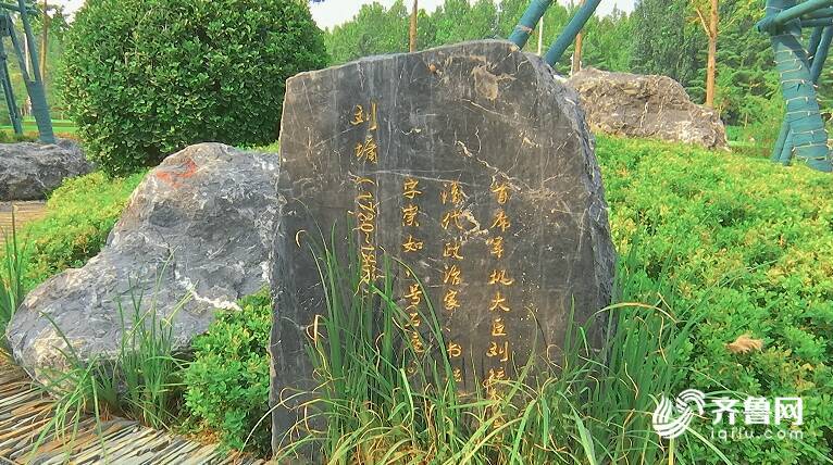 山石、绿植相映成趣！潍坊“景观大道”再添高品质“绿色微空间”(图2)