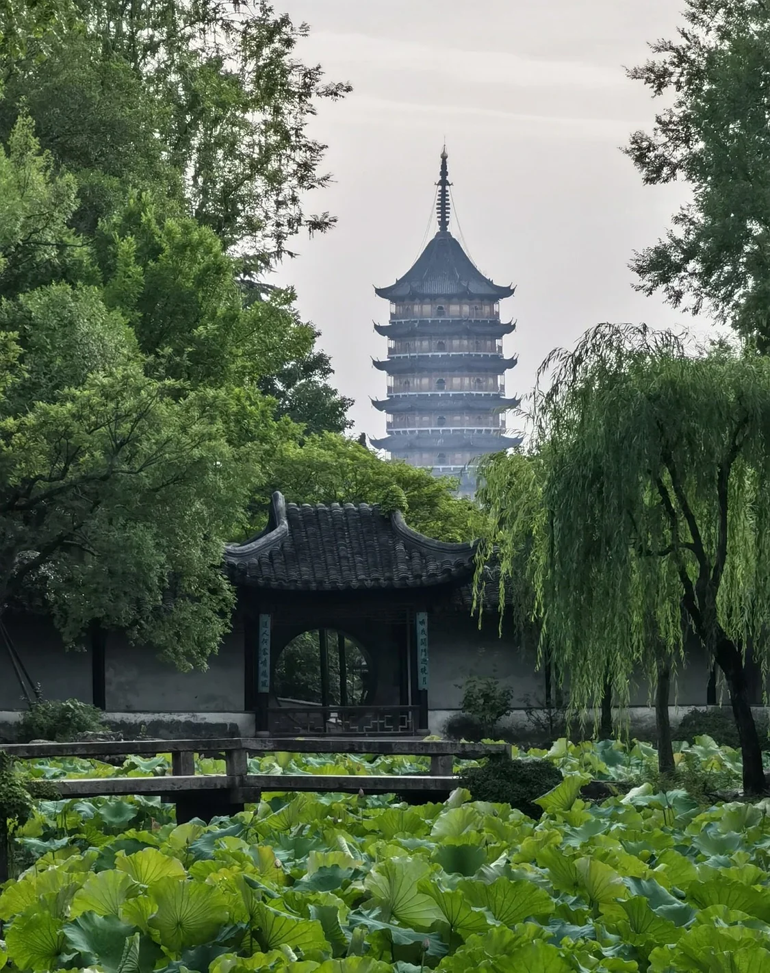 Kaiyun体育网站：《孤舟》话苏州：入诗画之境赏千年古城(图2)