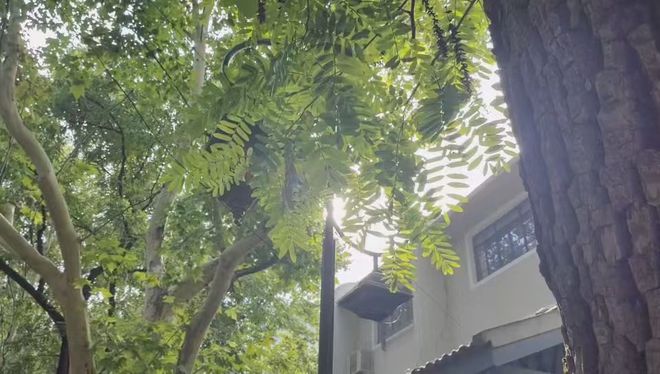 周末拍照去哪儿？跟着静宝走走这些巨出片Walk路线→(图1)