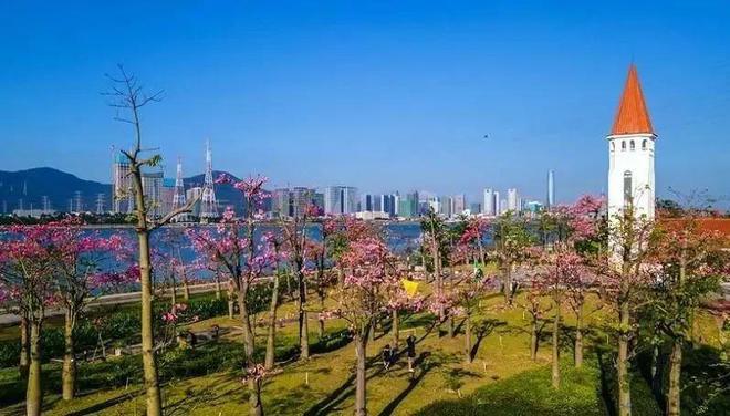 珠海5个必玩景点你去过几个？去过三个以上已经很幸福了(图10)