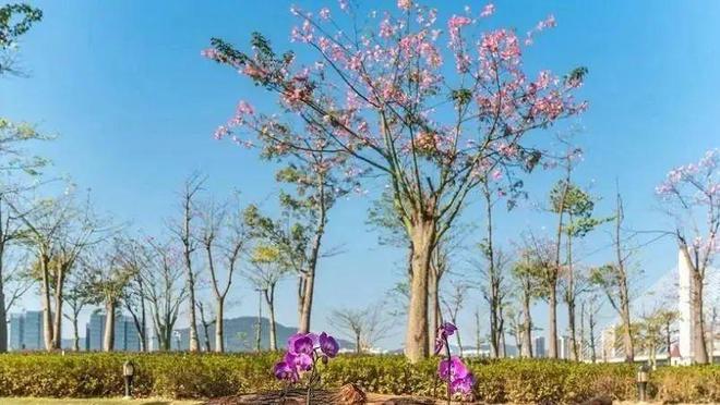 珠海5个必玩景点你去过几个？去过三个以上已经很幸福了(图11)