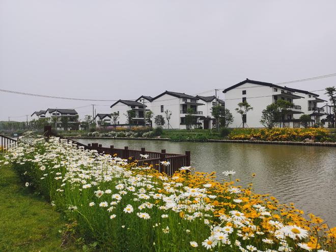 Kaiyun体育网站：绿意盎然浦江镇绽放园林之美(图3)