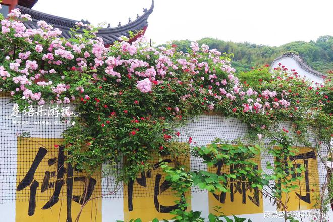 宁波这8座寺院各具特色景色优美却少有人来但都很值得推荐(图3)
