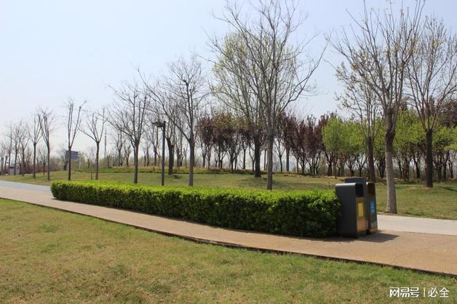 彩叶灌木在园林景观中应用和植物搭配比例(图7)