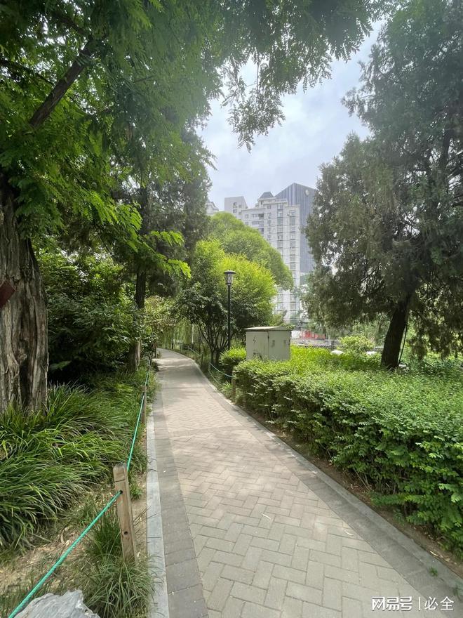 彩叶灌木在园林景观中应用和植物搭配比例(图2)