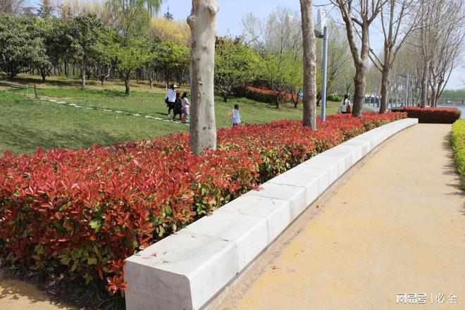 彩叶灌木在园林景观中应用和植物搭配比例(图5)