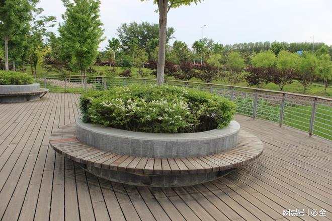 彩叶灌木在园林景观中应用和植物搭配比例(图9)