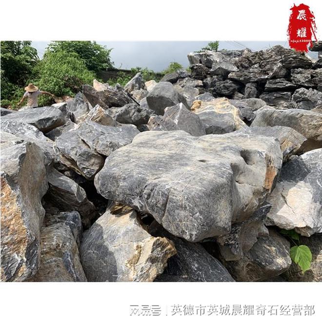 太湖石假山该怎么设计庭院假山景观设计(图2)
