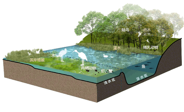 生态湿地公园设计(图1)