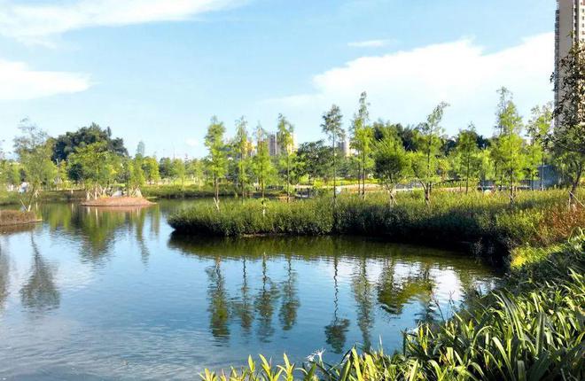 生态湿地公园设计(图6)