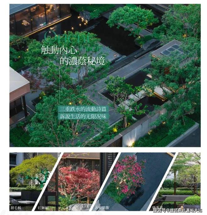 保利海上瑧悦2024网站-保利海上瑧悦楼盘详情-上海房天下(图17)