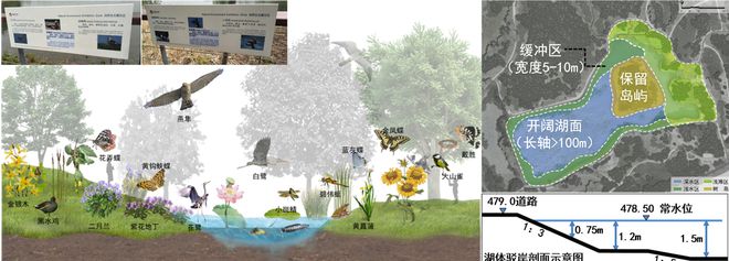 风景园林与旅游类2019北京世园会自然生态展示区园林景观工程设计(图5)
