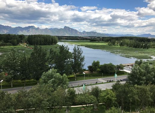 风景园林与旅游类2019北京世园会自然生态展示区园林景观工程设计(图7)