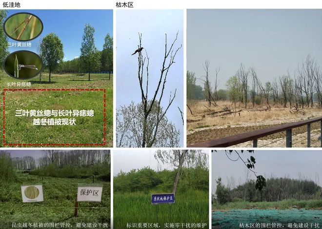 风景园林与旅游类2019北京世园会自然生态展示区园林景观工程设计(图6)