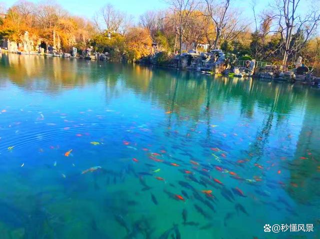 山东高颜值园林景色不输北京颐和园和苏州园林每年游客很多！(图2)