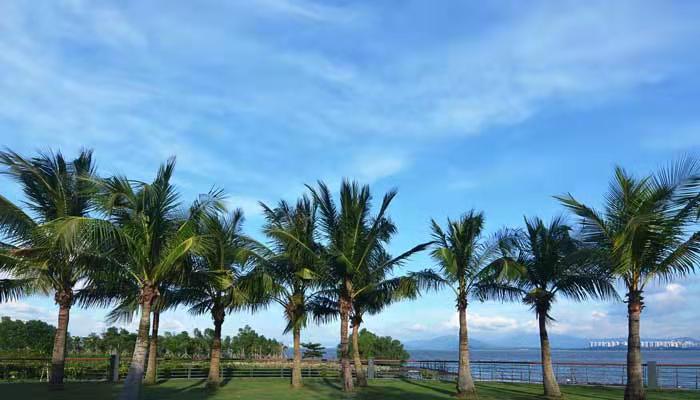 Kaiyun体育网站：中国十大旅游胜地中国十大旅游胜地排行(图3)