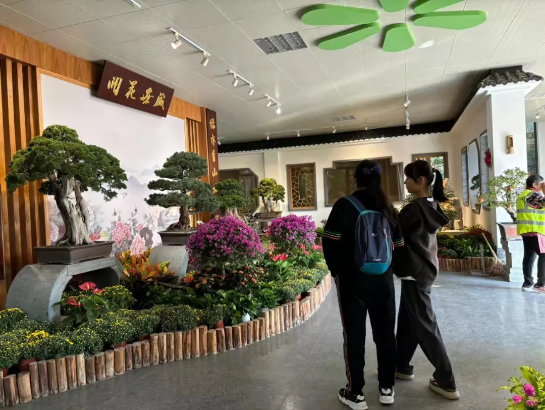 方寸间尽显自然之美——泉城公园精品盆景艺术展邀您共赏园林艺术_泉城新闻_大众网(图3)