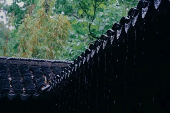 晴方好雨亦奇！园林、水乡来看申城浪漫雨景(图1)