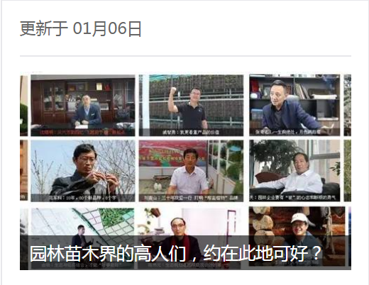 中国园林网正青春(图1)