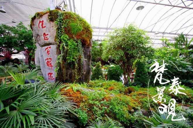人造假山一平大概多少钱？(图1)