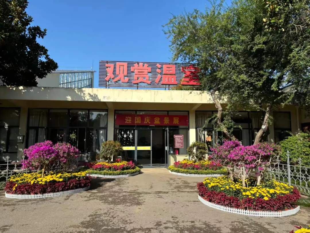 方寸间尽显自然之美——泉城公园精品盆景艺术展邀您共赏园林艺术_文化要闻_大众网(图1)