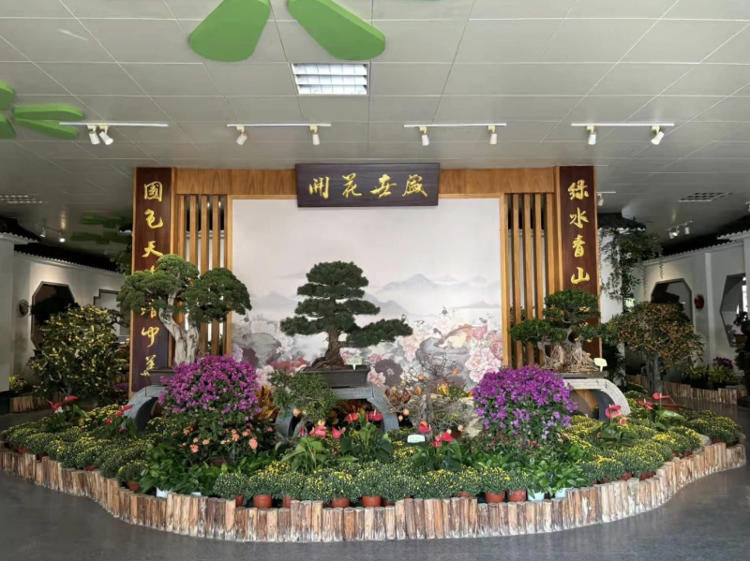 方寸间尽显自然之美——泉城公园精品盆景艺术展邀您共赏园林艺术_文化要闻_大众网(图2)