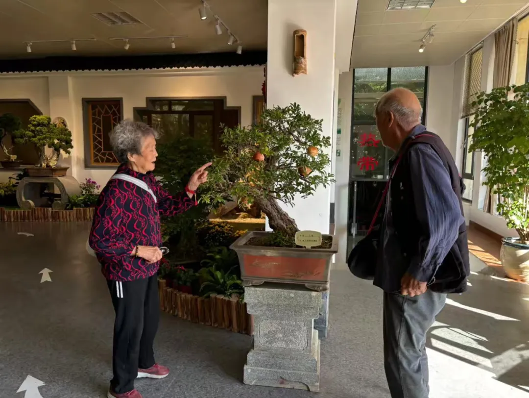 方寸间尽显自然之美——泉城公园精品盆景艺术展邀您共赏园林艺术_文化要闻_大众网(图4)