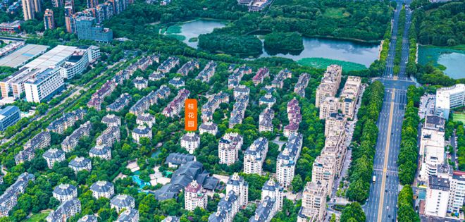 临湖不如有湖合肥这些小区都自带人工湖！(图13)