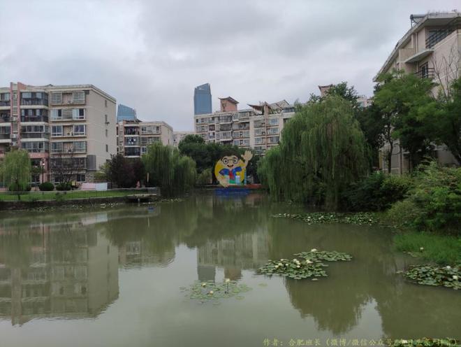 临湖不如有湖合肥这些小区都自带人工湖！(图15)
