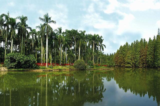 Kaiyun（中国体育）：中国有哪些著名植物园？这些赏花之地去过吗？百花争艳姹紫嫣红哦(图3)