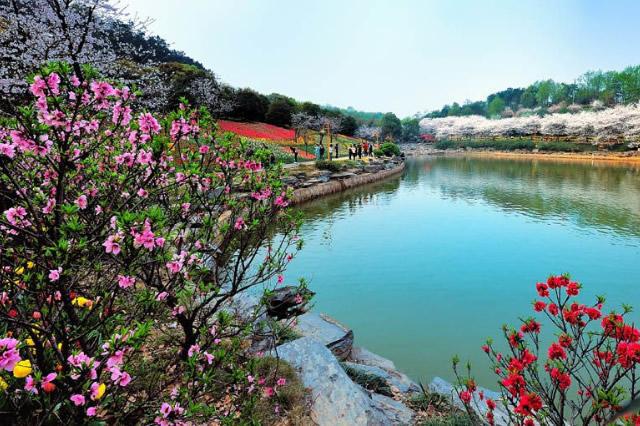 Kaiyun（中国体育）：中国有哪些著名植物园？这些赏花之地去过吗？百花争艳姹紫嫣红哦(图8)