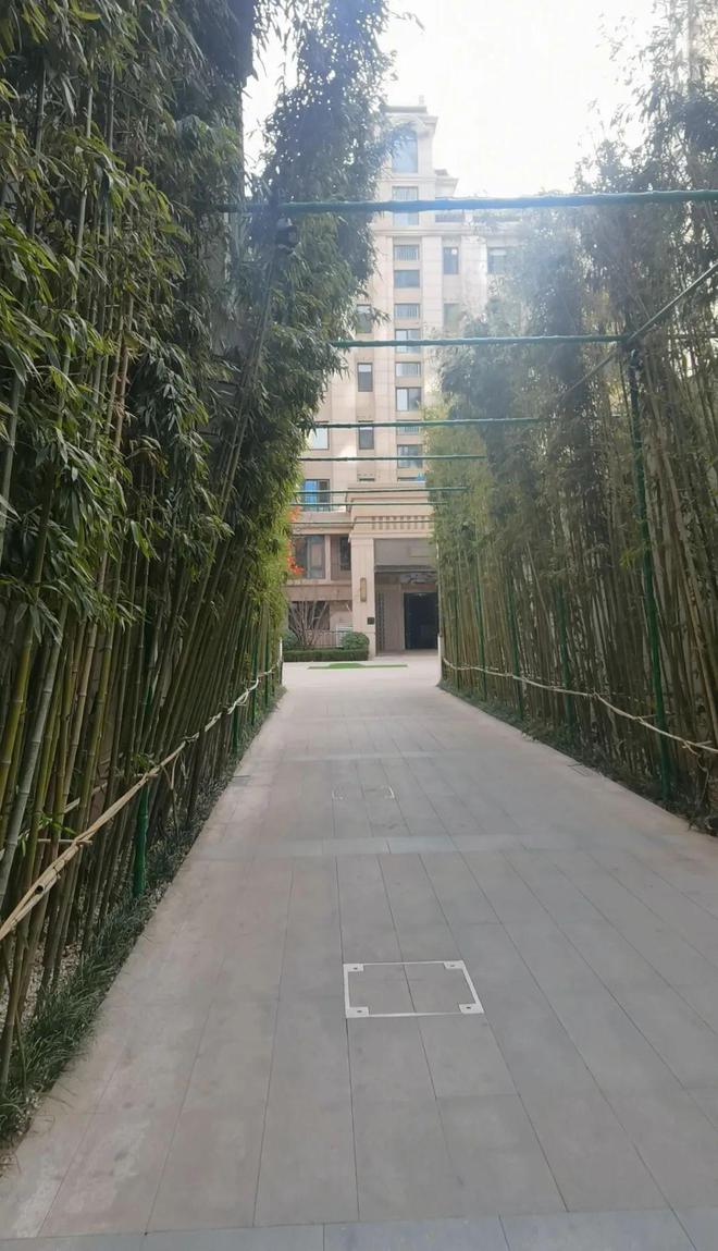 Kaiyun（中国体育）：石家庄帝王国际万悦府售楼处电线首页→楼盘百科→详情(图4)