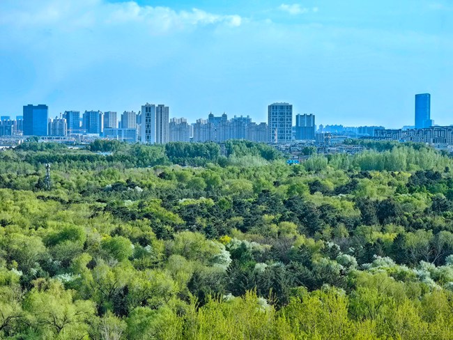 好City网友支招长春市：建设花园城市以四季生态景观彰显春城气质(图1)