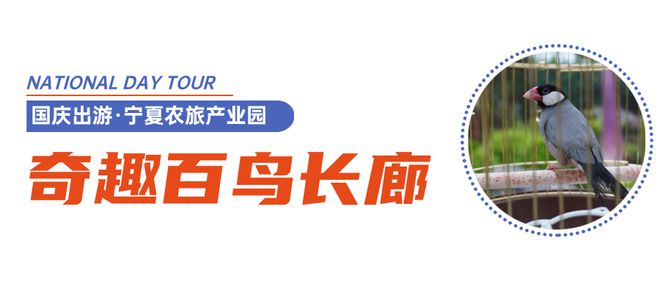 Kaiyun（中国体育）：宁夏人十一放假一定要去这里！免费看马戏、情景剧还有恐龙世界、动物乐园、漂流……(图4)