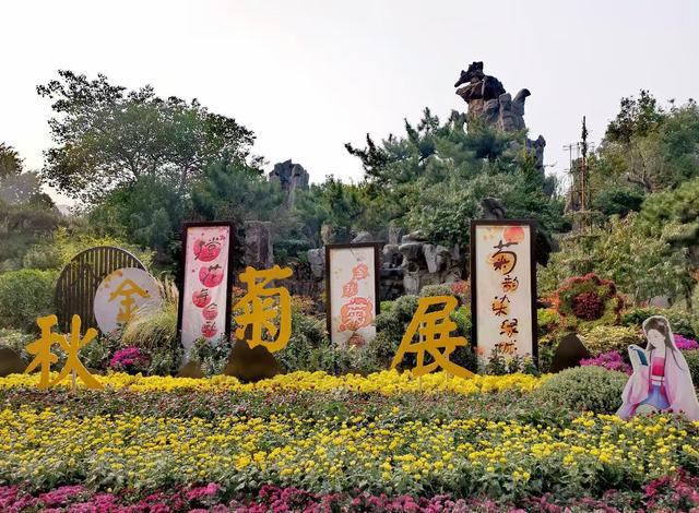 Kaiyun（中国体育）：一抹清香来人与花俱醉快来郑州人民公园赏秋菊(图5)
