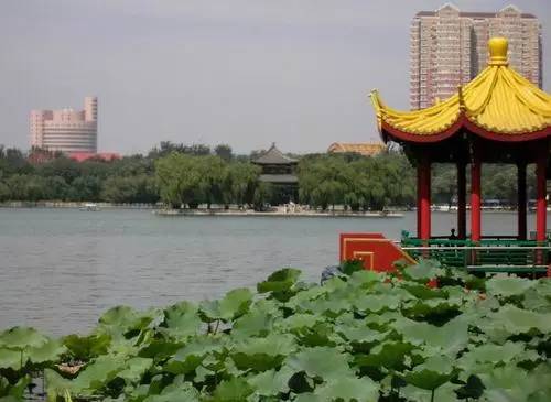 劝你还是别来济南了因为济南太美了！(图1)