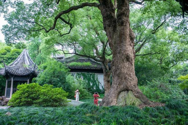 Kaiyun体育网站：揭秘中国6大古典园林之美：你想象不到的北京园林灵感来源!(图3)