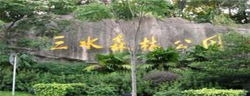 佛山十大最美景点(图3)