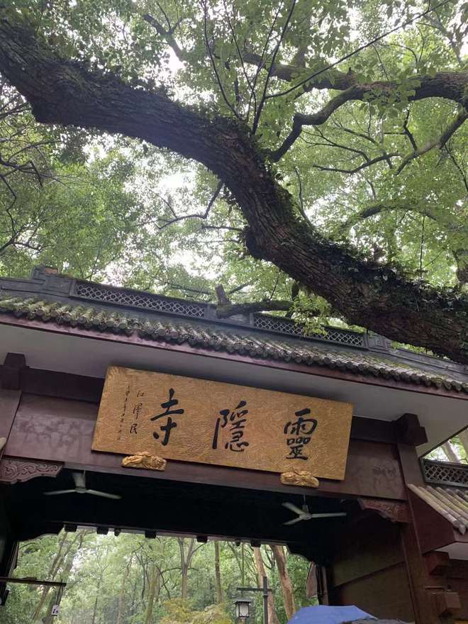 苏杭旅游必去十大景点拙政园上榜更有小桥流水人家的诗意画卷(图6)