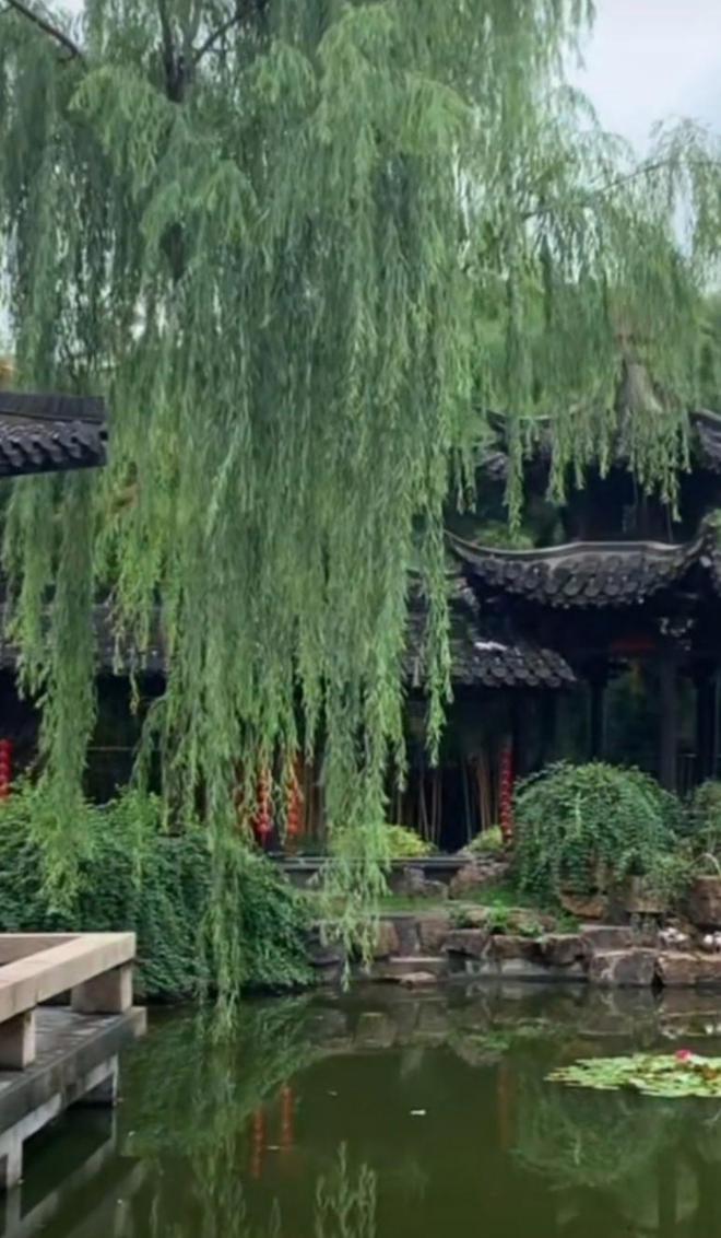 Kaiyun体育网站：扬州著名景点个园魅力无限(图6)