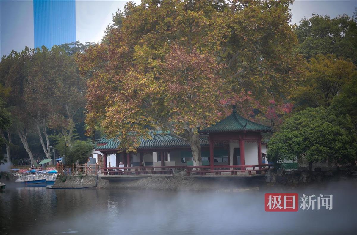 Kaiyun（中国体育）：武汉中山公园“仙气”缭绕如人间仙境(图1)