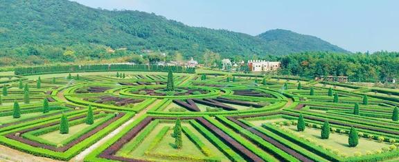 中国八大最美赏花胜地(图4)