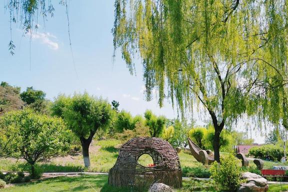 中国八大最美赏花胜地(图5)