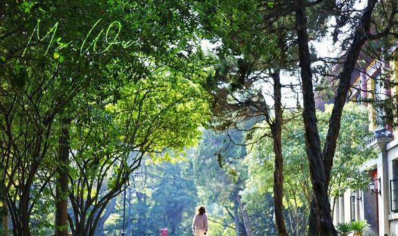 中国最美的12所大学不仅人文气息浓而且风景独特适合亲子游(图25)