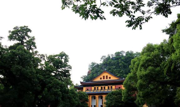 中国最美的12所大学不仅人文气息浓而且风景独特适合亲子游(图34)