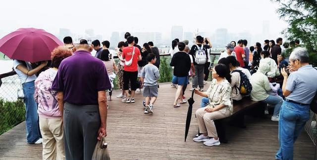 周末预约全满！上海人都要去爬山申城多了一处打卡地上海会客厅(图5)