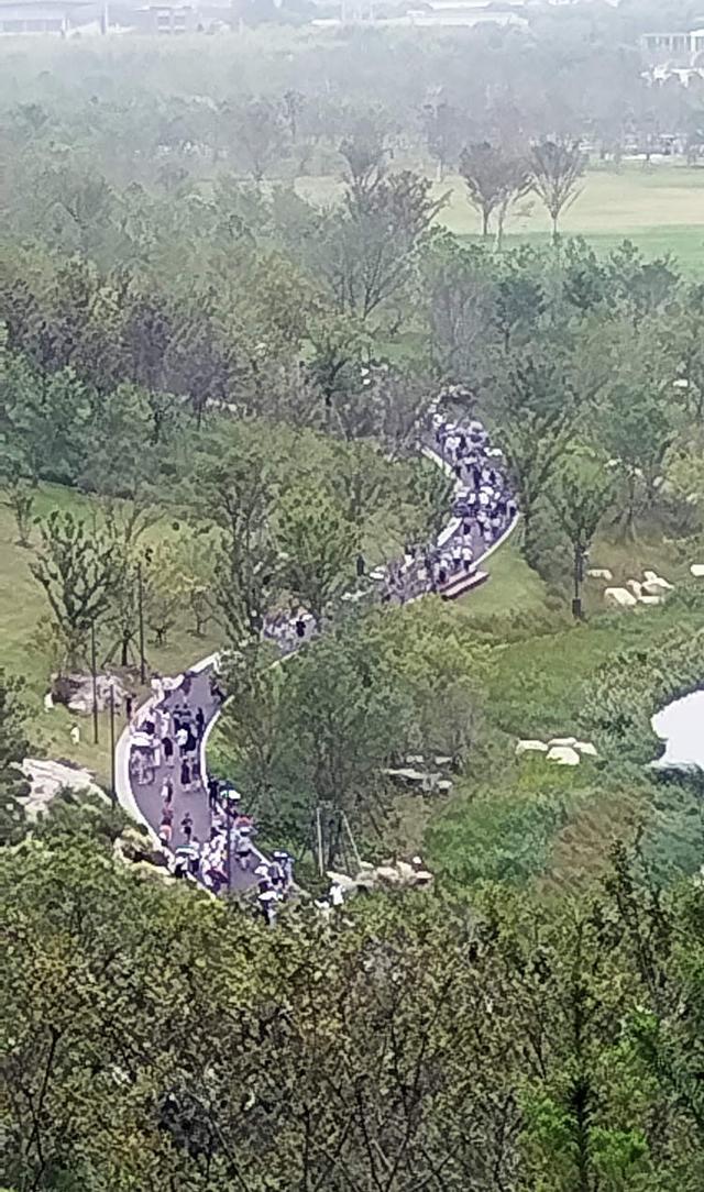 周末预约全满！上海人都要去爬山申城多了一处打卡地上海会客厅(图6)