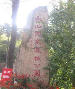 淄博十大夏季旅游好去处(图2)