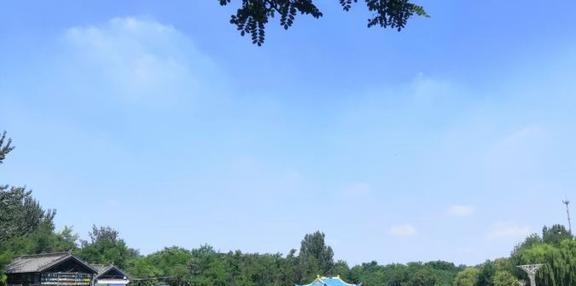 淄博十大夏季旅游好去处(图9)